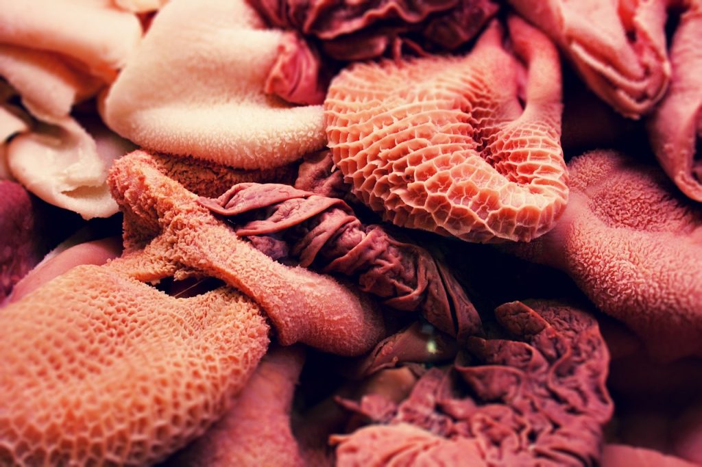 rumen, offal, food, raw, kidneys, cook, flesh, guts, pork belly, rumen, offal, offal, offal, offal, offal, flesh, guts, guts, guts