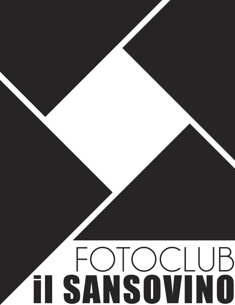 Un Monte di Cinema logo fotoclub il sansovino